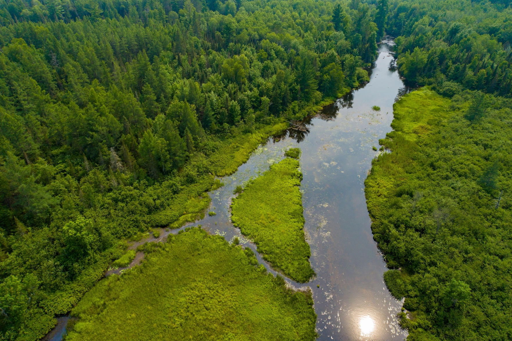 Pelican River Forest